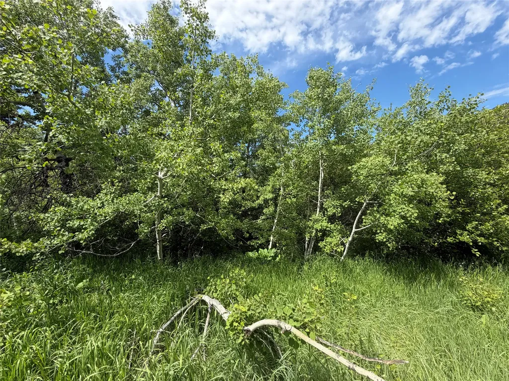 Nhn Gilt Edge Stage Road Lewistown MT 59457
