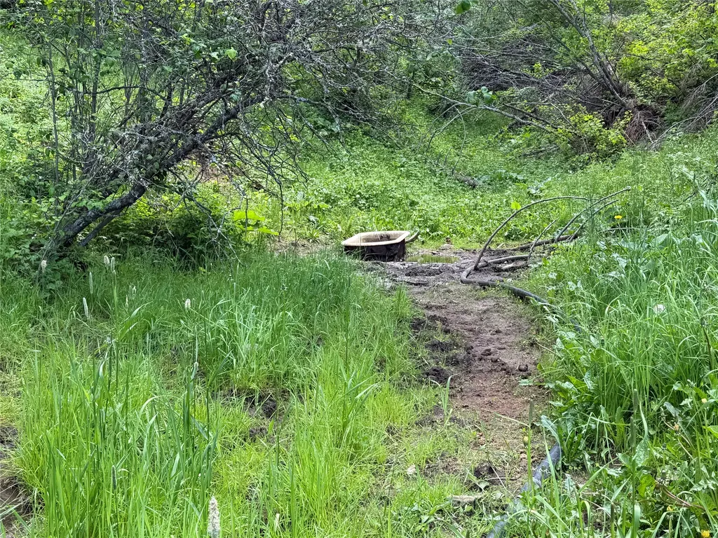 Nhn Gilt Edge Stage Road Lewistown MT 59457