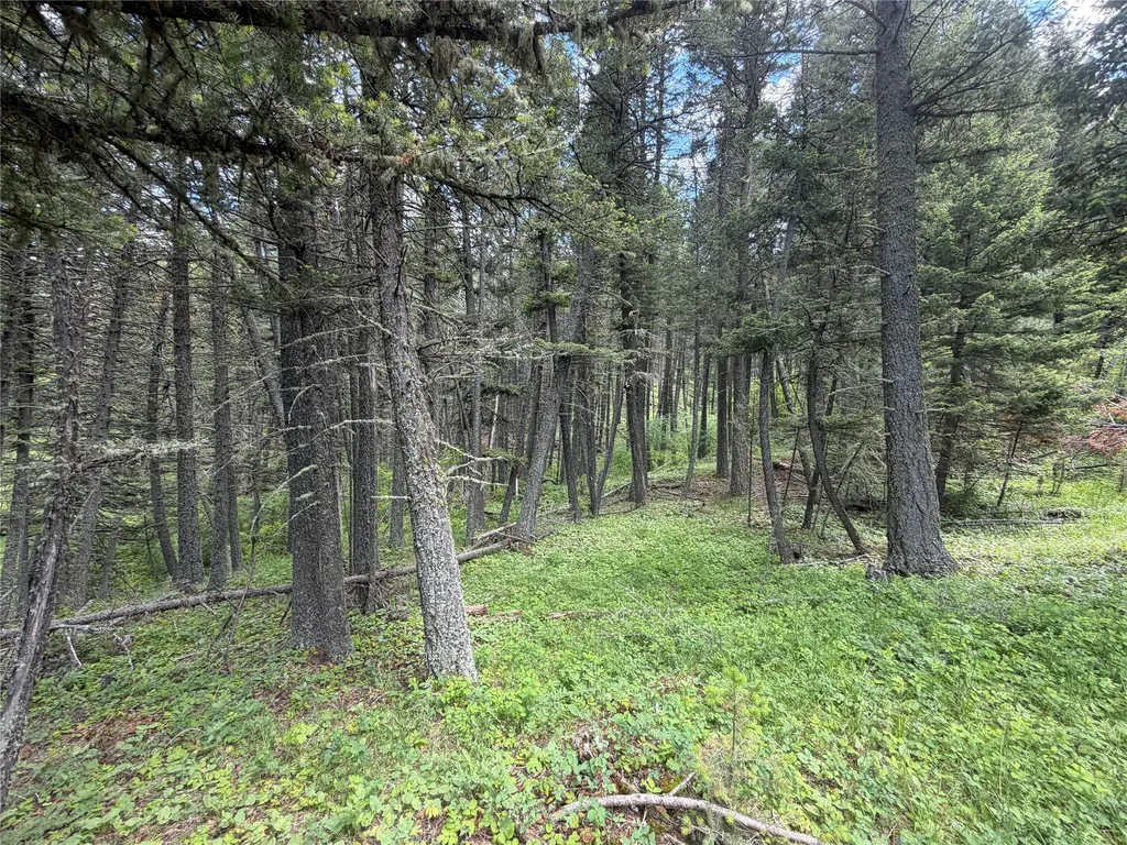 Nhn Gilt Edge Stage Road Lewistown MT 59457