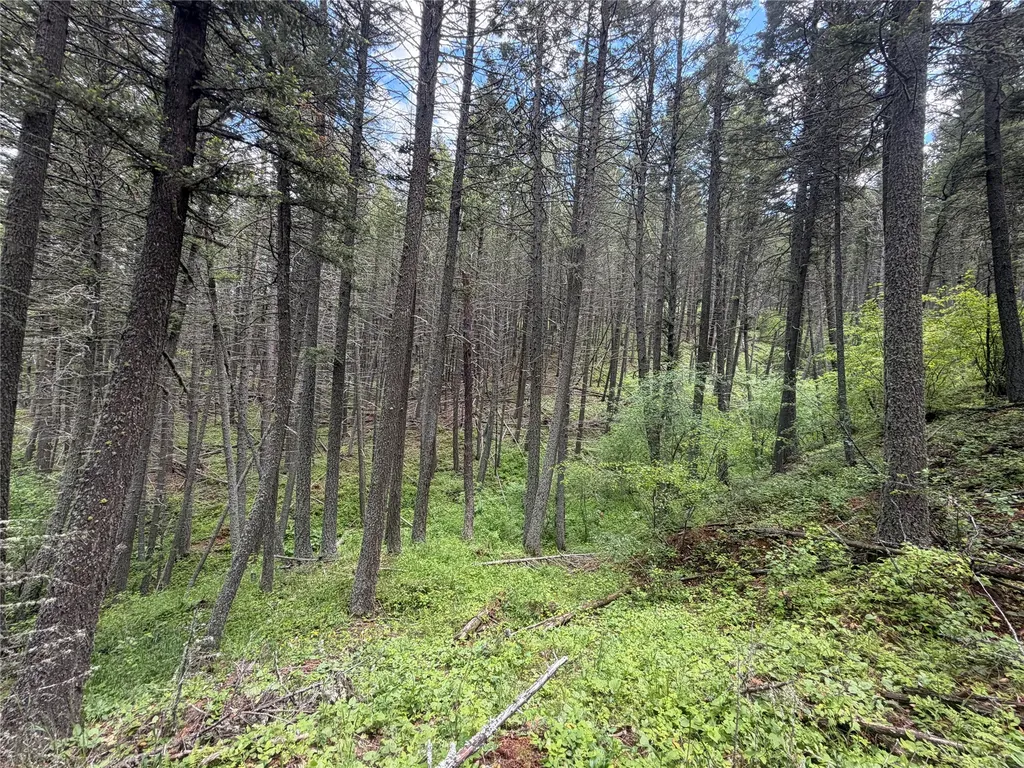 Nhn Gilt Edge Stage Road Lewistown MT 59457