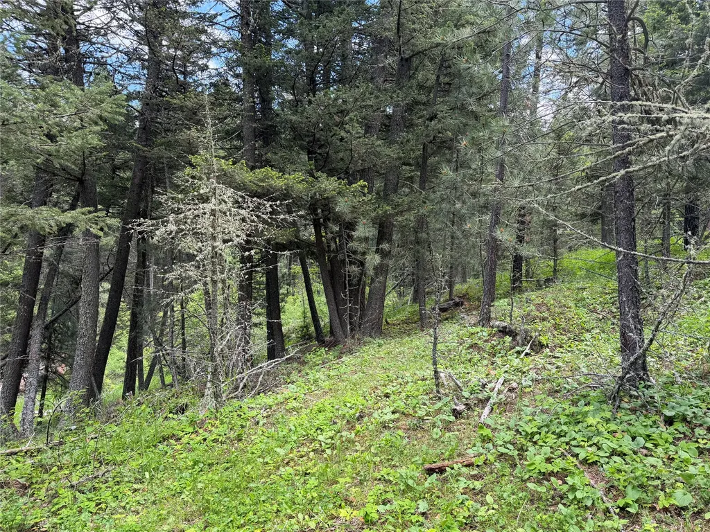 Nhn Gilt Edge Stage Road Lewistown MT 59457