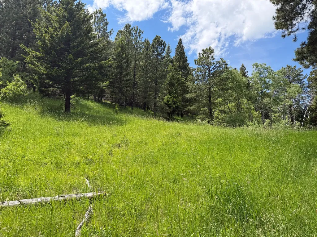 Nhn Gilt Edge Stage Road Lewistown MT 59457