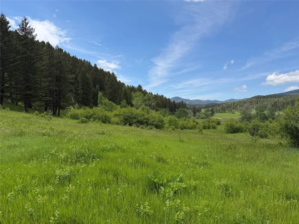 Nhn Gilt Edge Stage Road Lewistown MT 59457