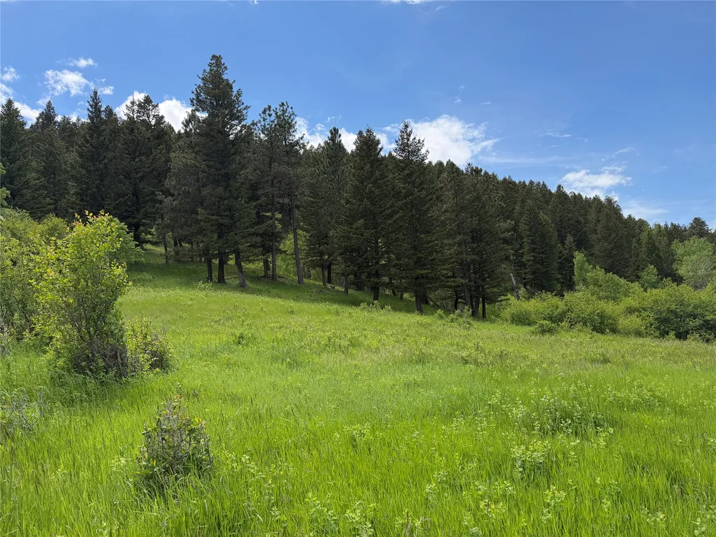 Nhn Gilt Edge Stage Road Lewistown MT 59457