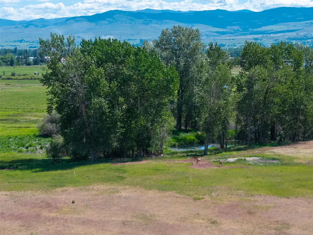 385 Sheafman Creek Road Victor MT 59875