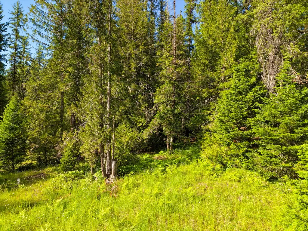 364 Cedars Drive Troy MT 59935