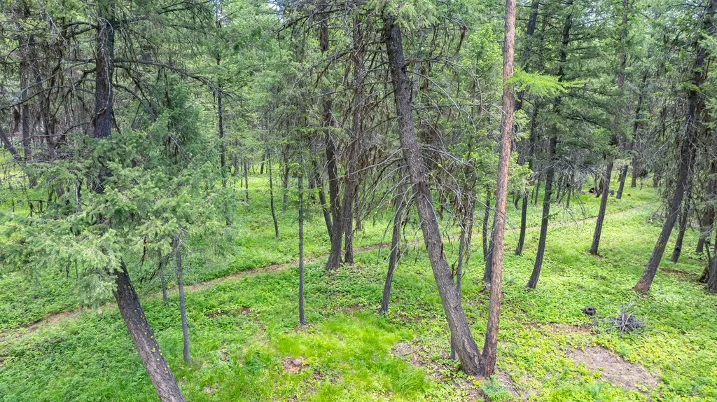 1341 N Prairie View Road Whitefish MT 59937