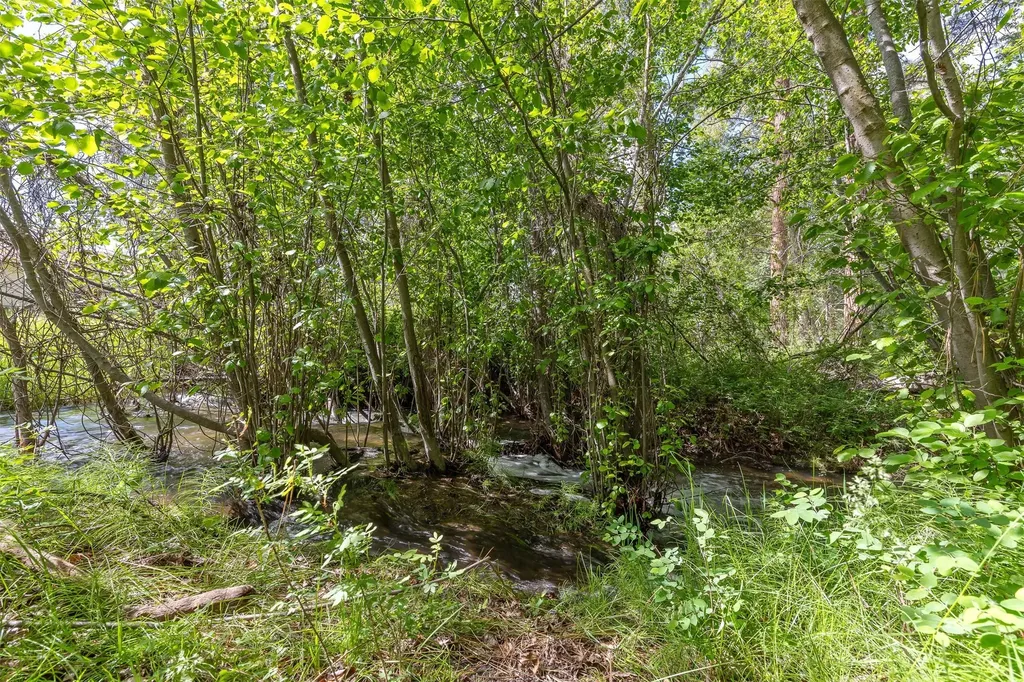 776 Heron Court Stevensville MT 59870