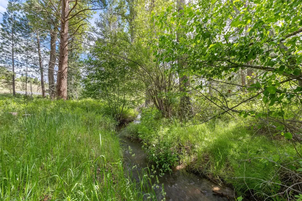 776 Heron Court Stevensville MT 59870