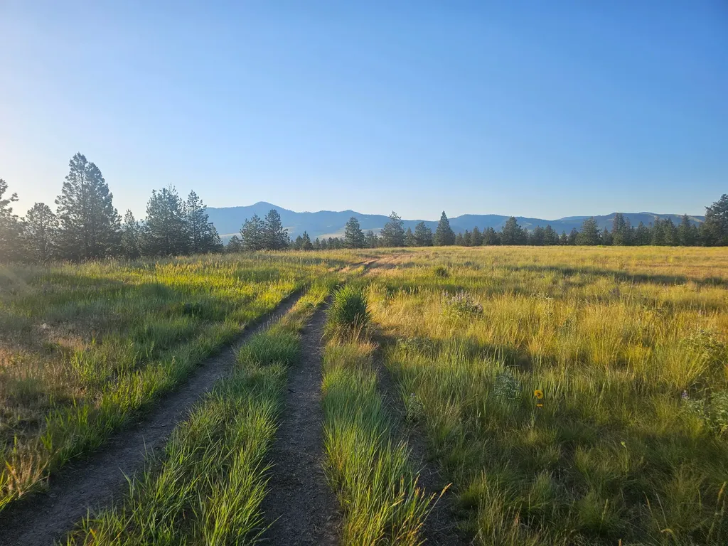 5187 Forest Hill Lane Missoula MT 59804