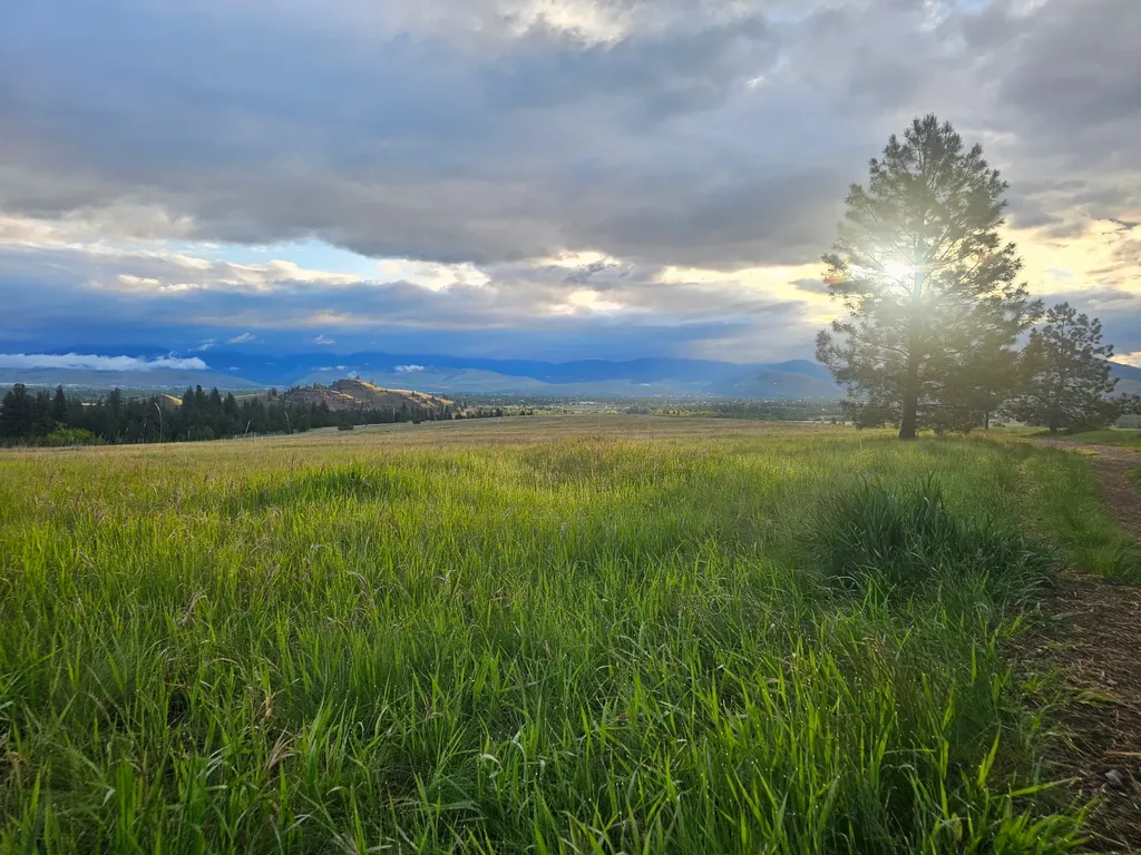 5187 Forest Hill Lane Missoula MT 59804