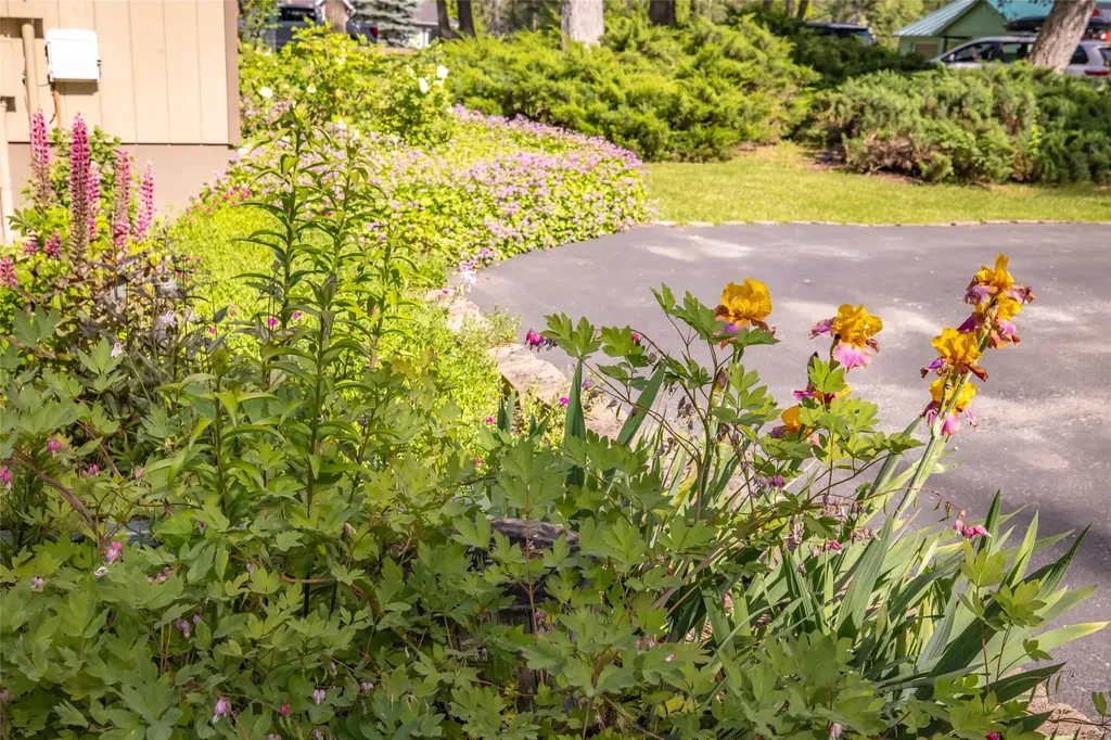 516 Peaceful Drive Bigfork MT 59911