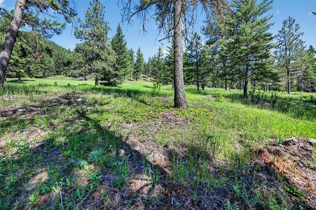 3720 Othorp Lake Road Rexford MT 59930