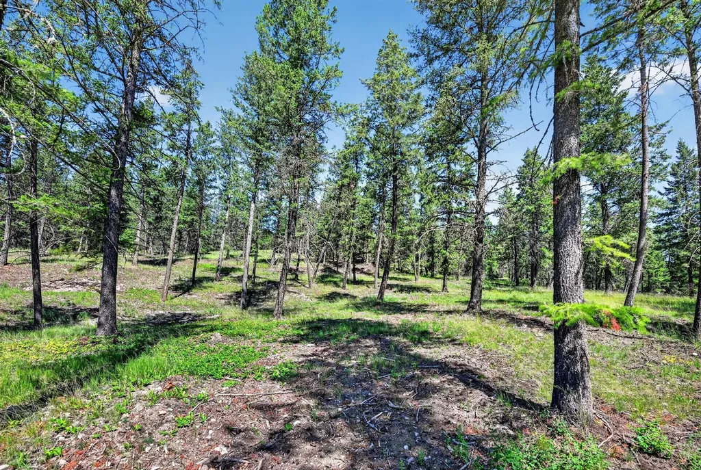 3720 Othorp Lake Road Rexford MT 59930