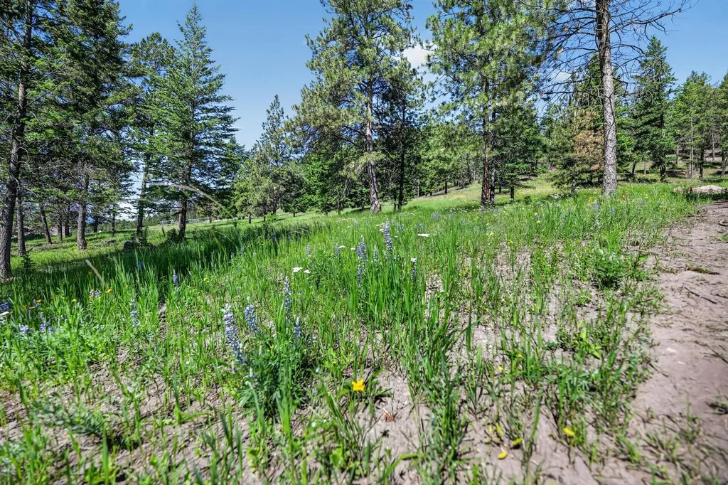 3720 Othorp Lake Road Rexford MT 59930