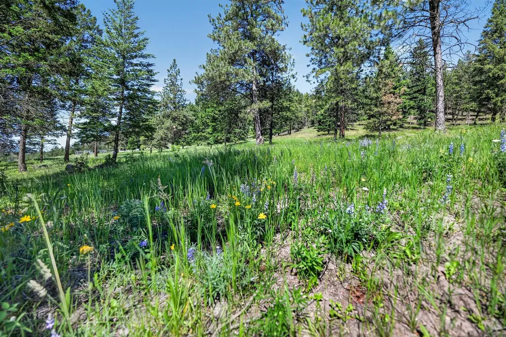3720 Othorp Lake Road Rexford MT 59930