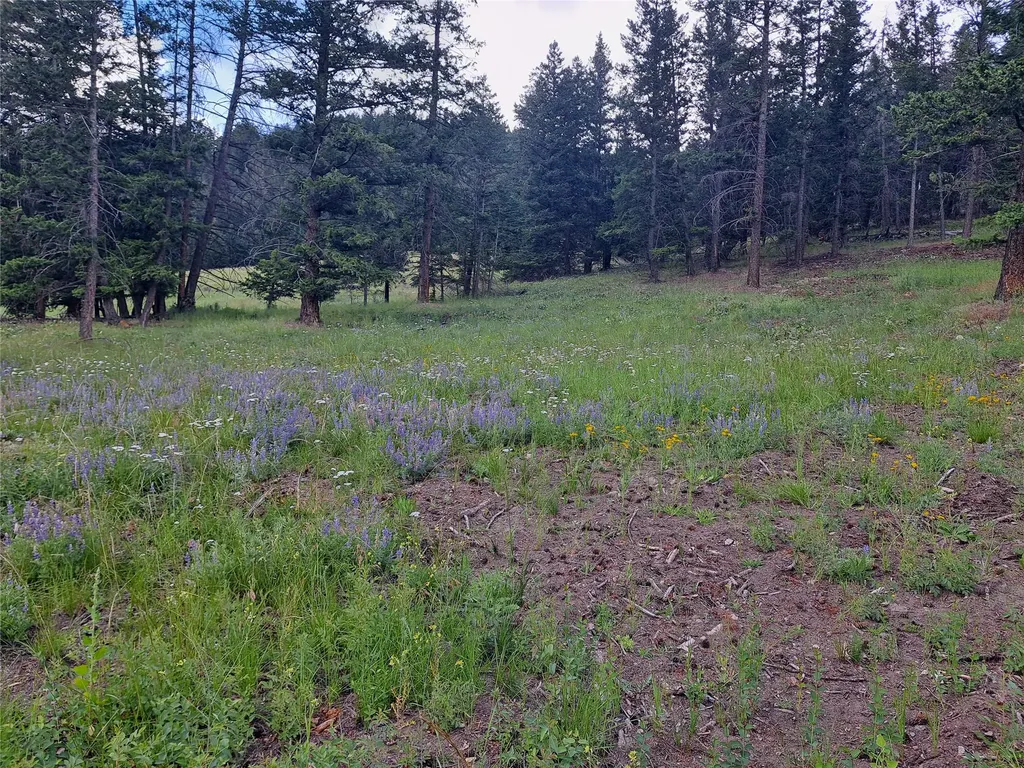 3720 Othorp Lake Road Rexford MT 59930