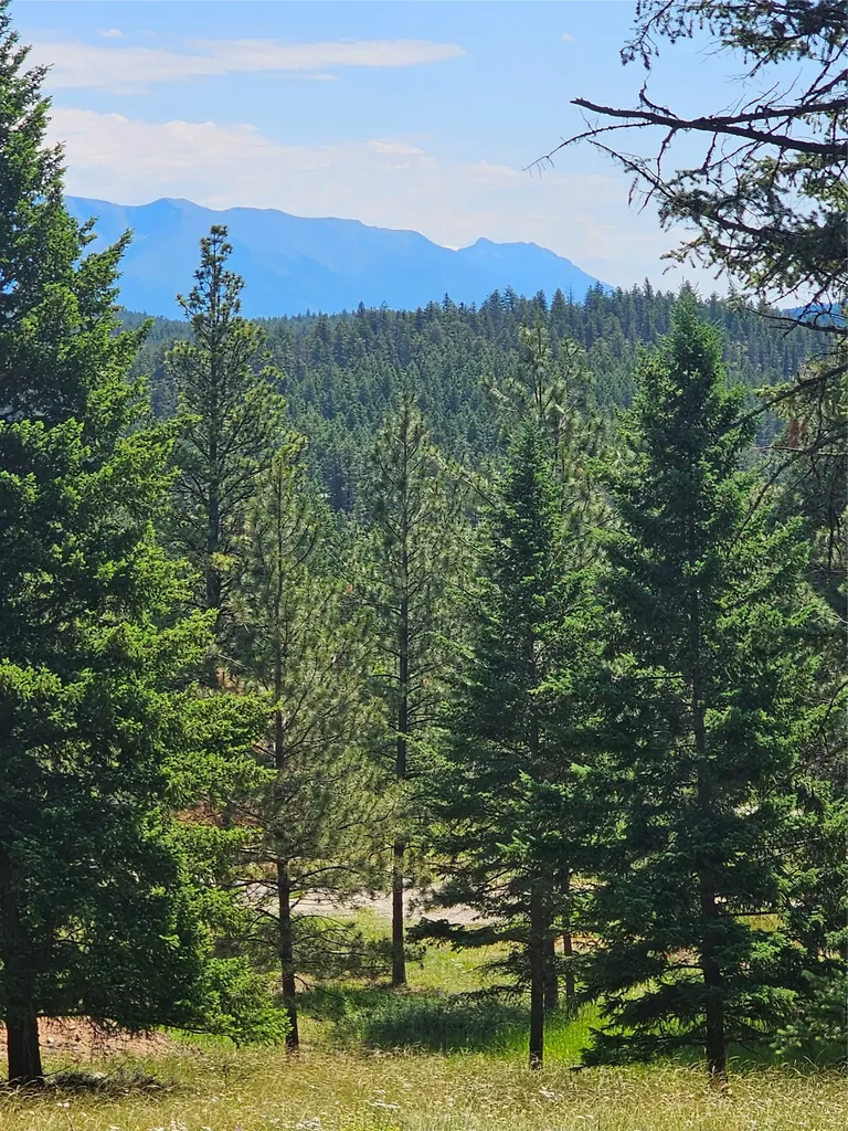 3720 Othorp Lake Road Rexford MT 59930