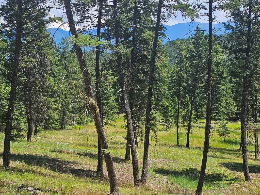 3720 Othorp Lake Road Rexford MT 59930