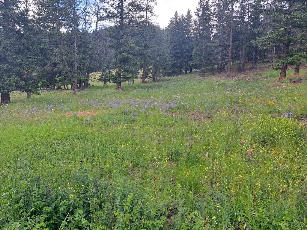 3720 Othorp Lake Road Rexford MT 59930