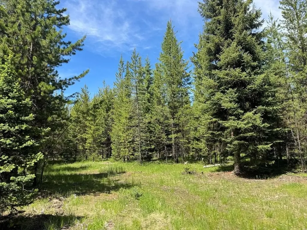 7930 Boy Scout Road Seeley Lake MT 59868