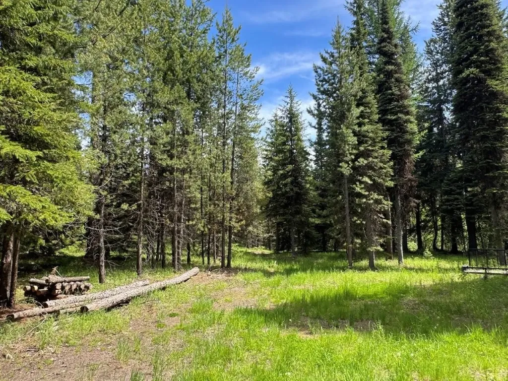7930 Boy Scout Road Seeley Lake MT 59868
