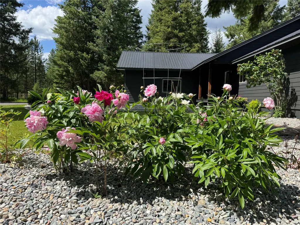 25 Riverfront Drive S Trout Creek MT 59874