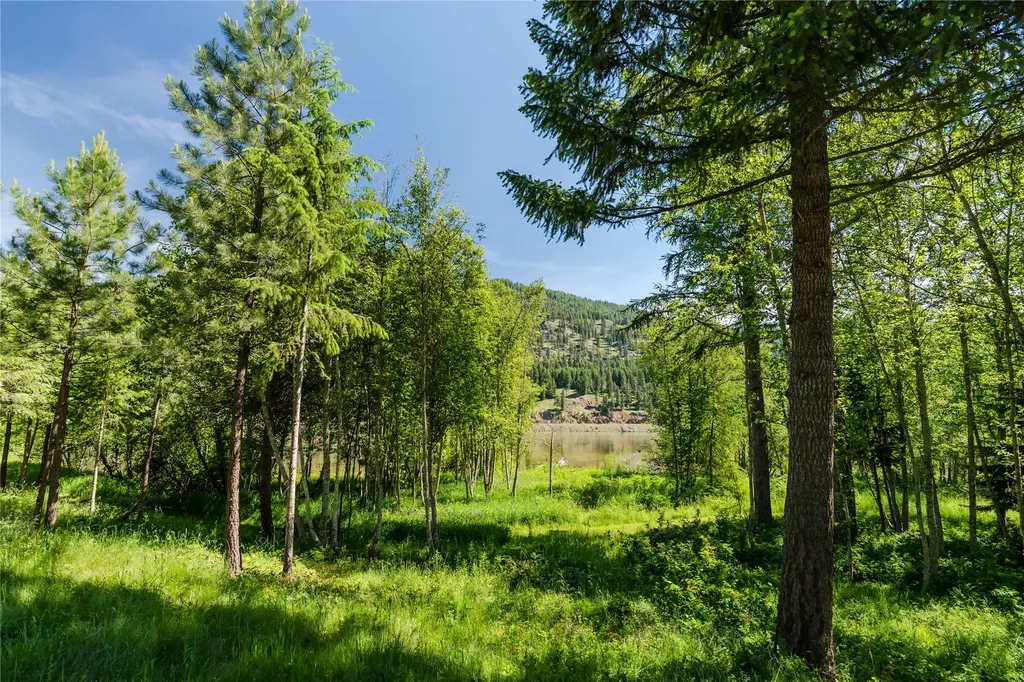 25 Riverfront Drive S Trout Creek MT 59874
