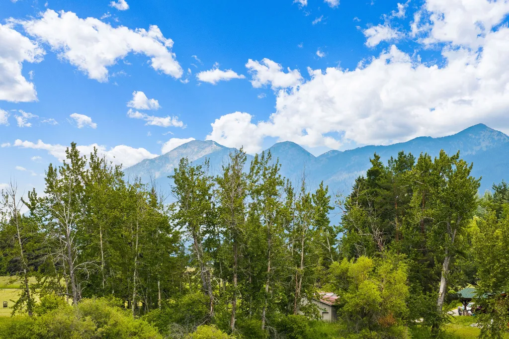 1160 Swan Horseshoe Drive Bigfork MT 59911