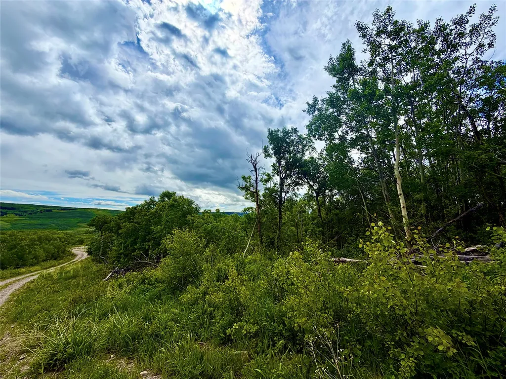 Tbd Skyline Drive Babb MT 59411