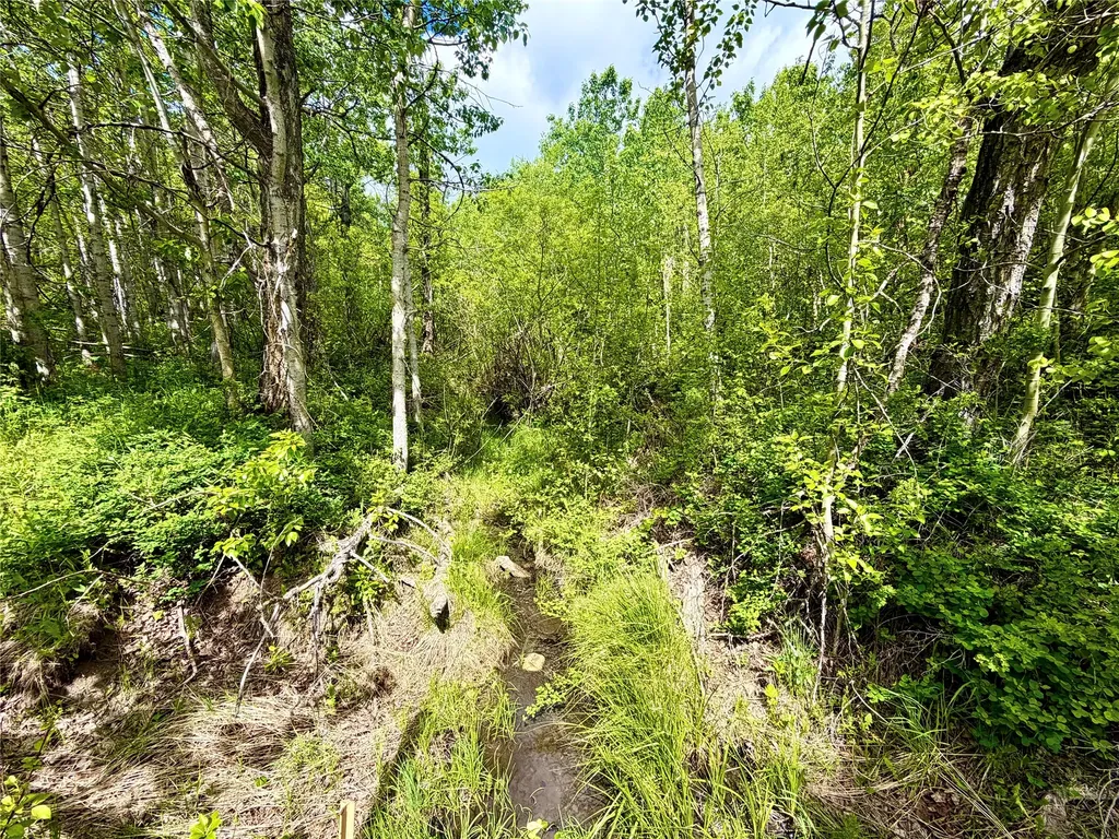 Tbd Skyline Drive Babb MT 59411