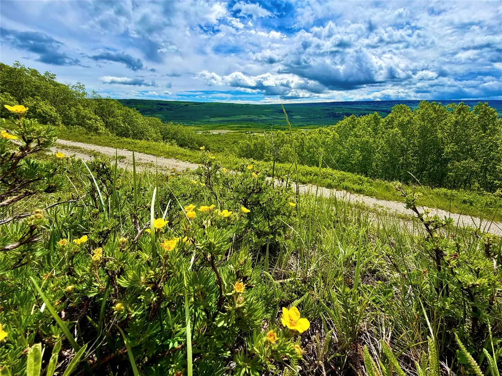 Tbd Skyline Drive Babb MT 59411