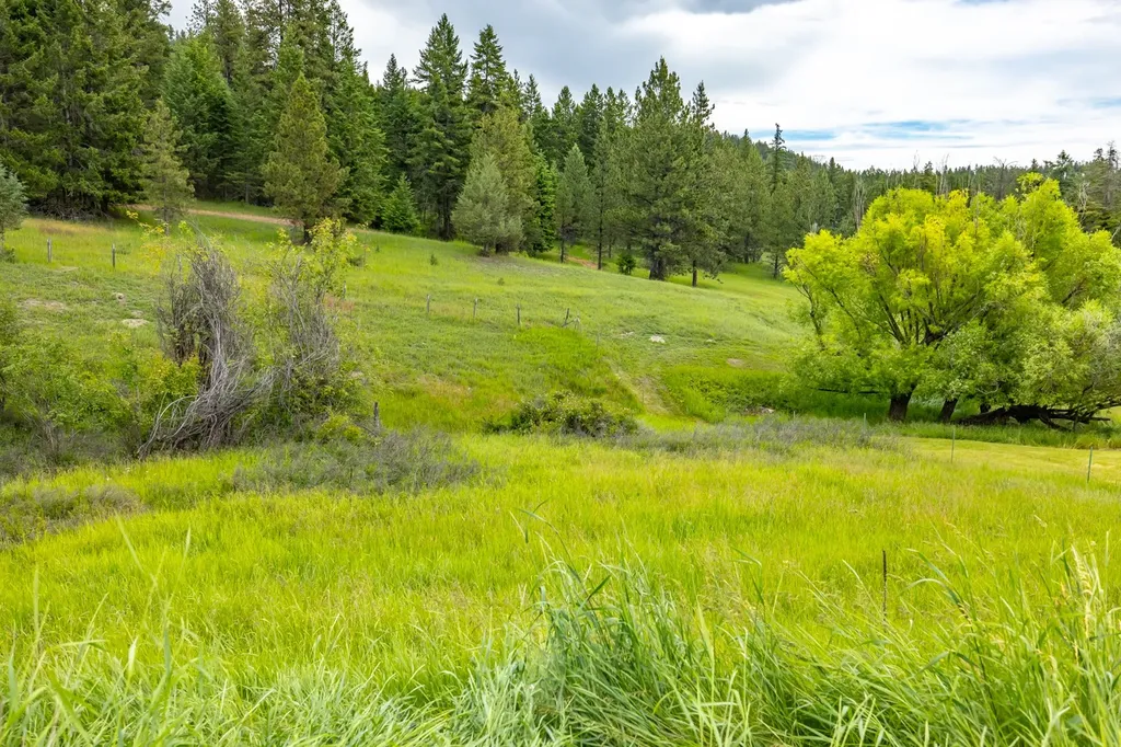 1129 Bierney Creek Road Lakeside MT 59922