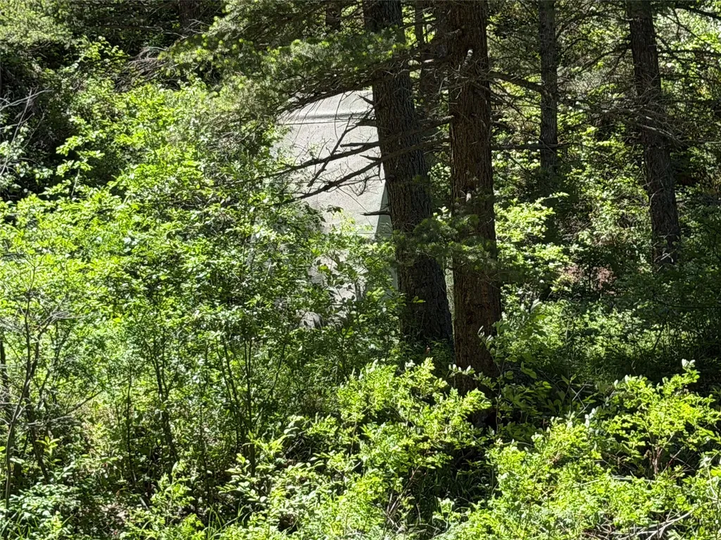 2623 Little Wolf Creek Road Wolf Creek MT 59648