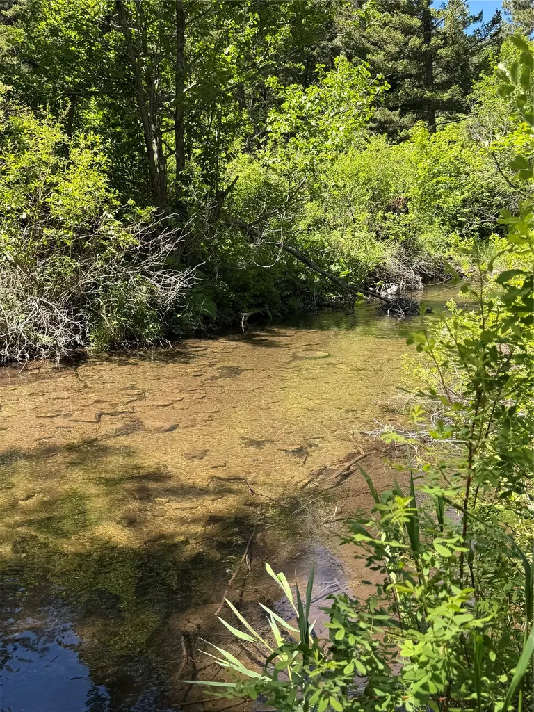 2623 Little Wolf Creek Road Wolf Creek MT 59648