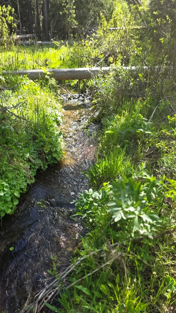 Tbd Anderson Tracts Road Anaconda MT 59711