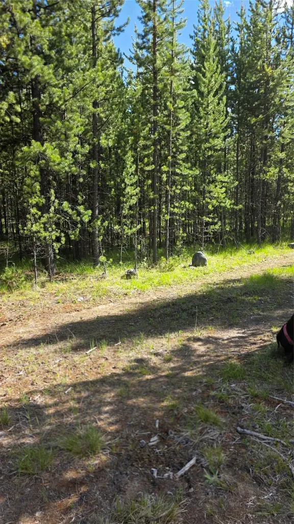 Tbd Anderson Tracts Road Anaconda MT 59711