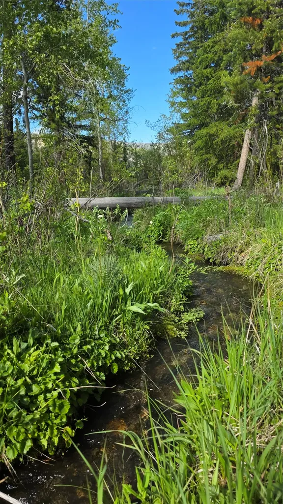 Tbd Anderson Tracts Road Anaconda MT 59711