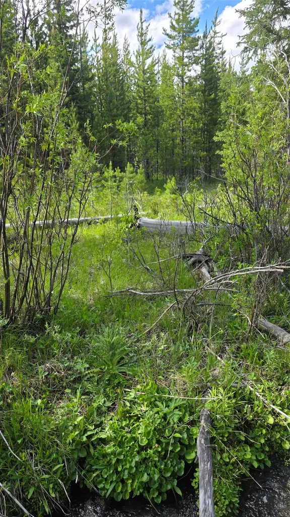 Tbd Anderson Tracts Road Anaconda MT 59711