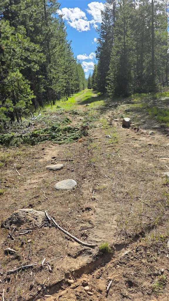 Tbd Anderson Tracts Road Anaconda MT 59711