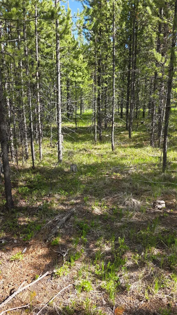 Tbd Anderson Tracts Road Anaconda MT 59711