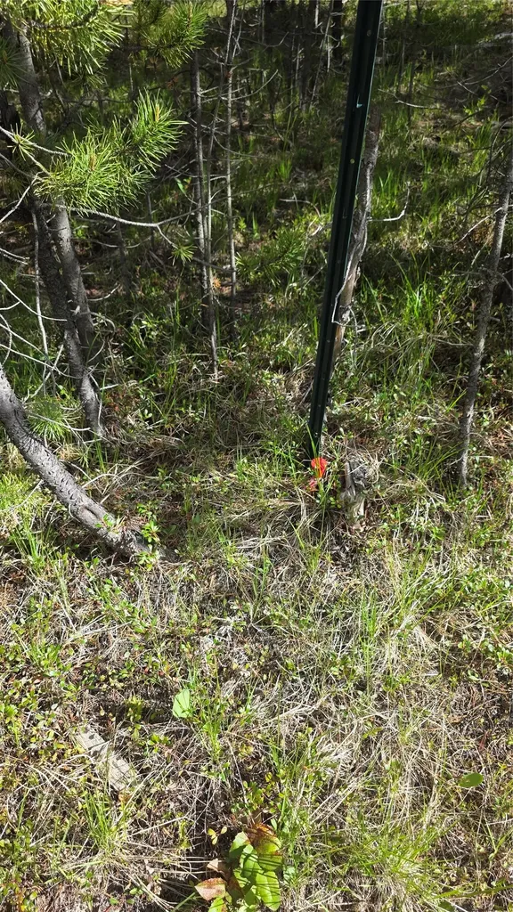 Tbd Anderson Tracts Road Anaconda MT 59711