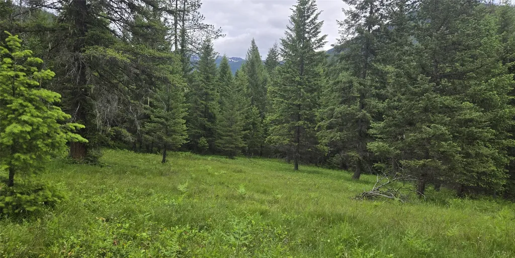 217 Bull River Road Noxon MT 59853