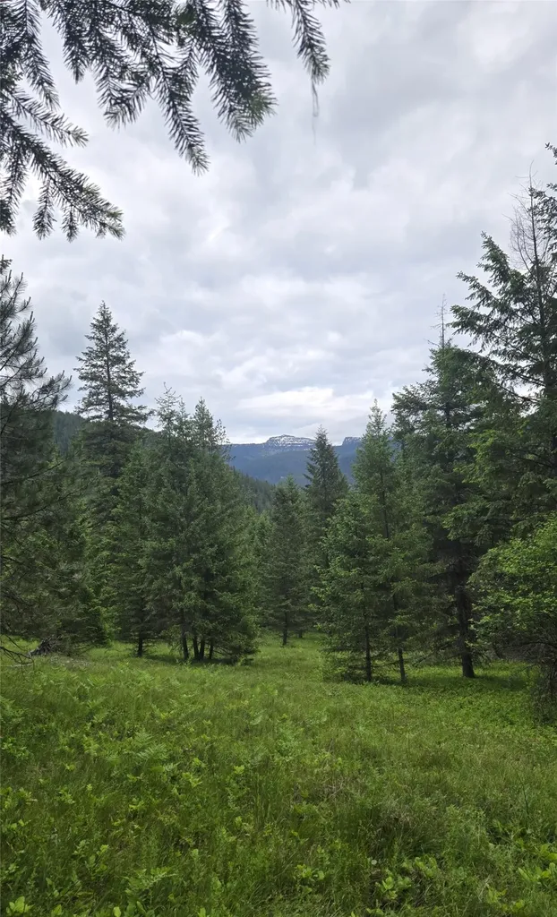 Nhn Bull River Road Noxon MT 59853