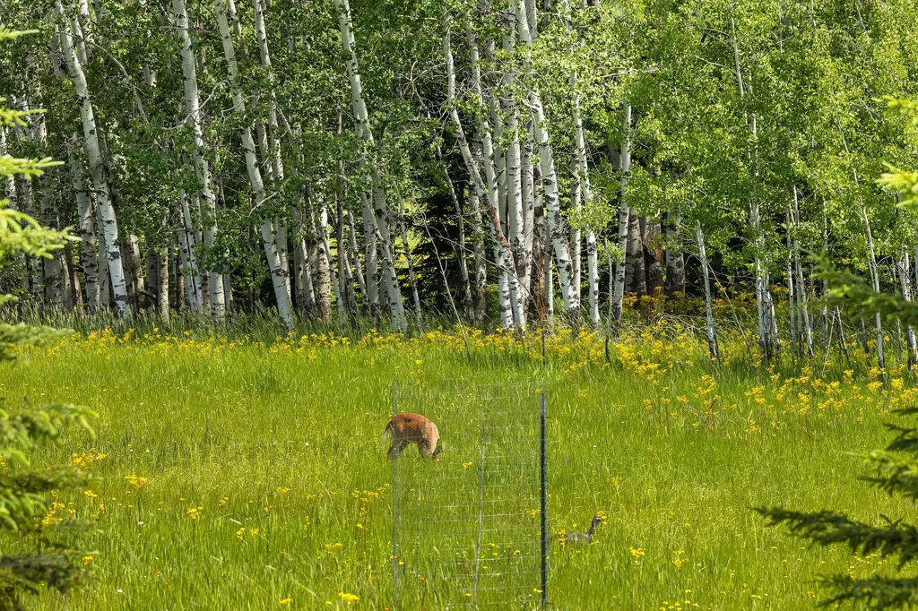 983 Preserve Parkway Whitefish MT 59937