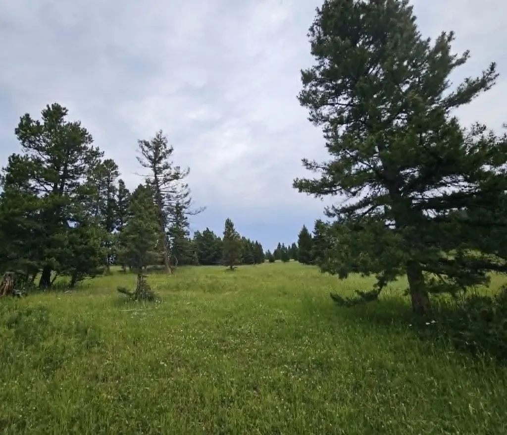 Nhn Hoover Creek Road Helmville MT 59843