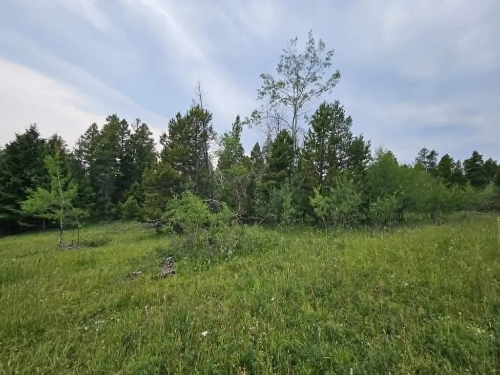 Nhn Hoover Creek Road Helmville MT 59843