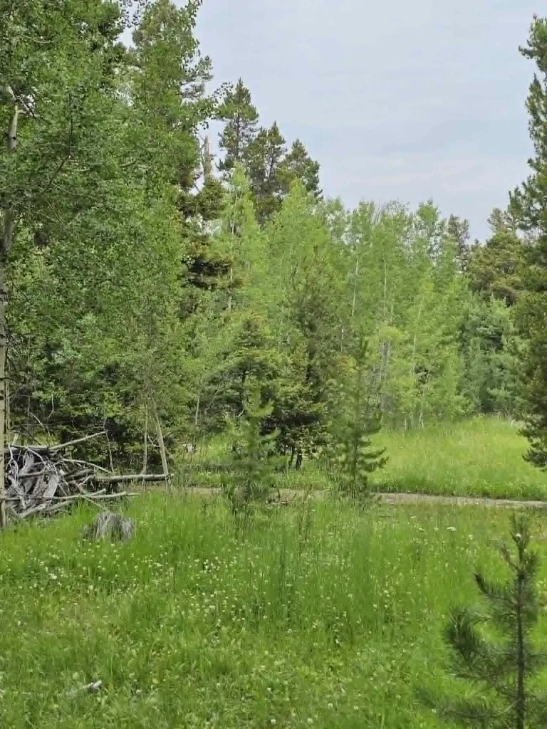 Nhn Hoover Creek Road Helmville MT 59843