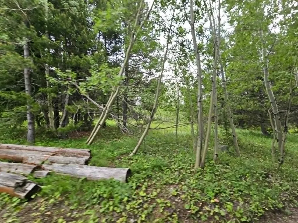 Nhn Hoover Creek Road Helmville MT 59843