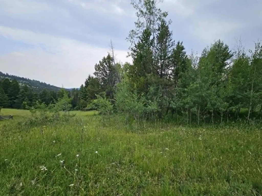 Nhn Hoover Creek Road Helmville MT 59843